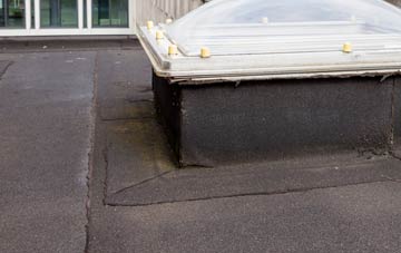 disadvantages of Throop flat roofs