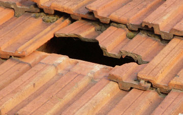 roof repair Throop, Dorset
